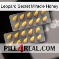 Leopard Secret Miracle Honey cialis2